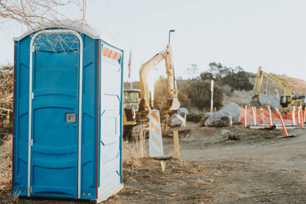 Best Local porta potty services  in Buffalo Grove, IL